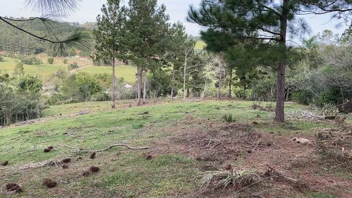Chácara à venda de 5 ha em Santo Antônio da Patrulha, RS, Brasil