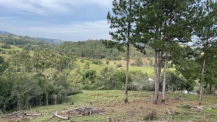 Chácara à venda de 5 ha em Santo Antônio da Patrulha, RS, Brasil