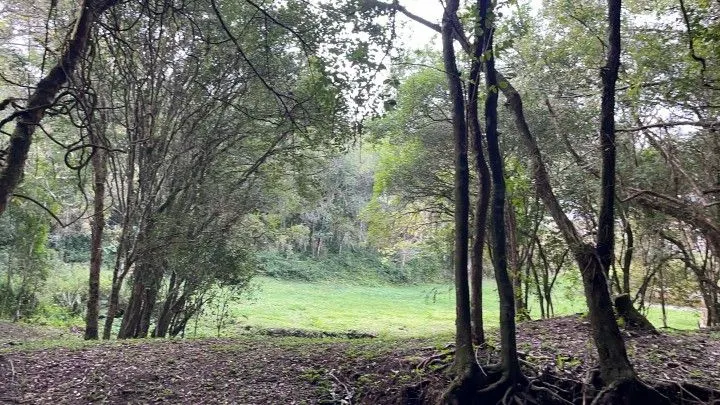 Chácara à venda de 5 ha em Santo Antônio da Patrulha, RS, Brasil