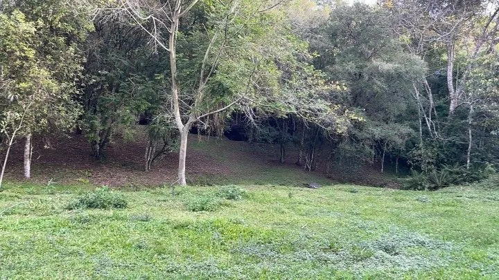 Chácara à venda de 5 ha em Santo Antônio da Patrulha, RS, Brasil
