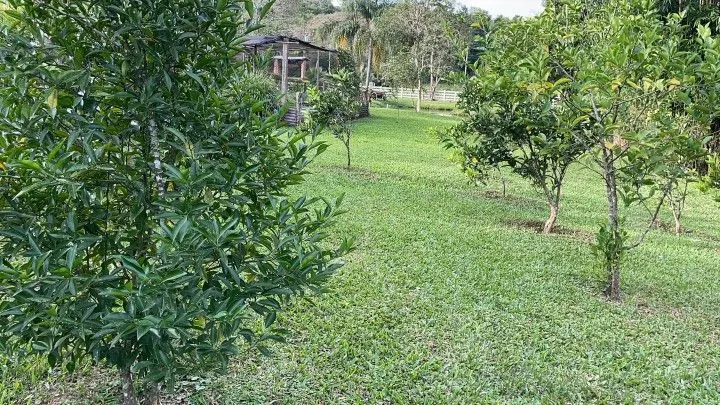 Chácara à venda de 5 ha em Santo Antônio da Patrulha, RS, Brasil