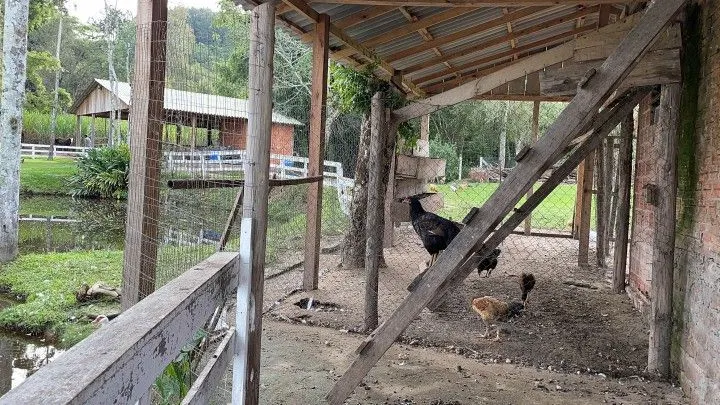 Chácara à venda de 5 ha em Santo Antônio da Patrulha, RS, Brasil