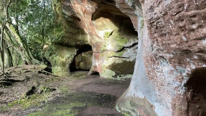 Chácara à venda de 5 ha em Santo Antônio da Patrulha, RS, Brasil