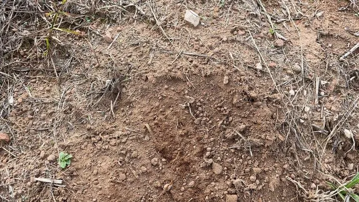 Chácara à venda de 5 ha em Santo Antônio da Patrulha, RS, Brasil