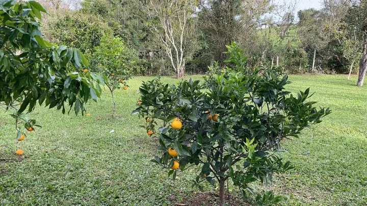 Chácara à venda de 5 ha em Santo Antônio da Patrulha, RS, Brasil
