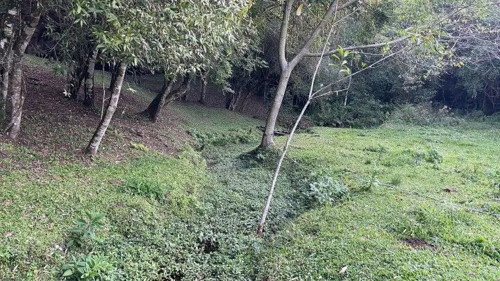 Chácara à venda de 5 ha em Santo Antônio da Patrulha, RS, Brasil
