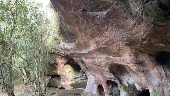 Chácara à venda de 5 ha em Santo Antônio da Patrulha, RS, Brasil
