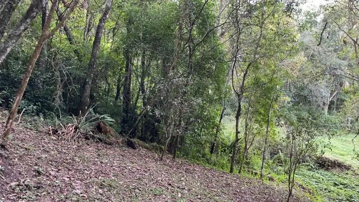 Chácara à venda de 5 ha em Santo Antônio da Patrulha, RS, Brasil