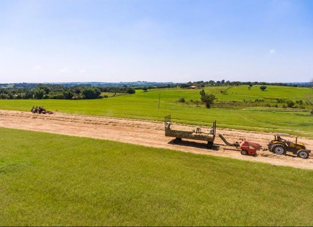 Fazenda à venda de 152 ha em Tatuí, SP, Brasil