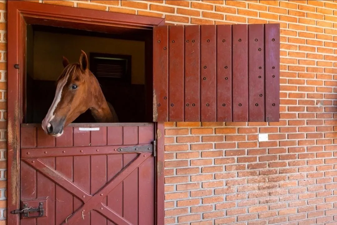 Fazenda à venda de 152 ha em Tatuí, SP, Brasil