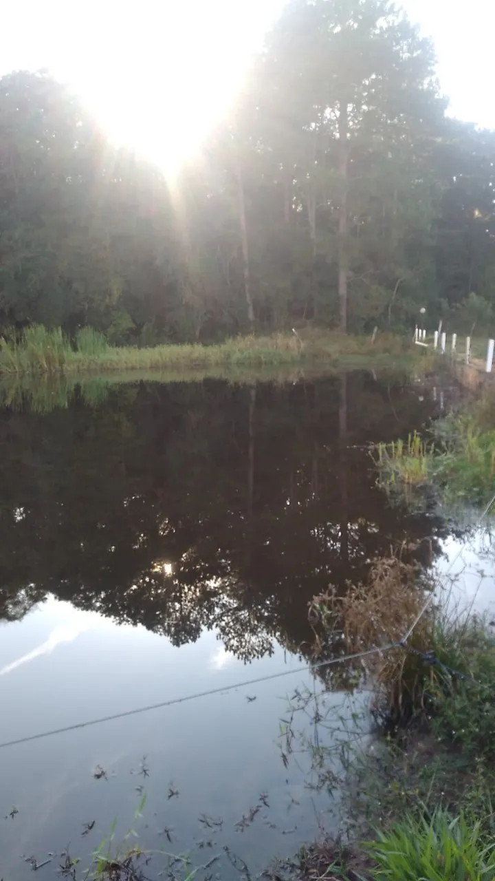 Fazenda à venda de 15 ha em Pilar do Sul, SP, Brasil
