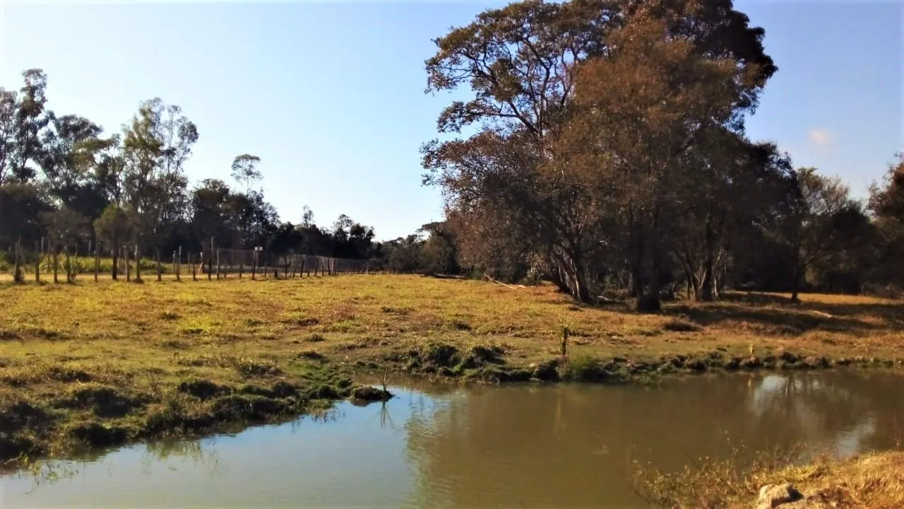 Terreno à venda de 3 ha em Espírito Santo do Dourado, MG, Brasil