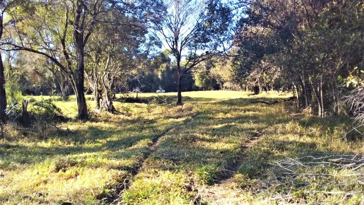 Terreno à venda de 3 ha em Espírito Santo do Dourado, MG, Brasil