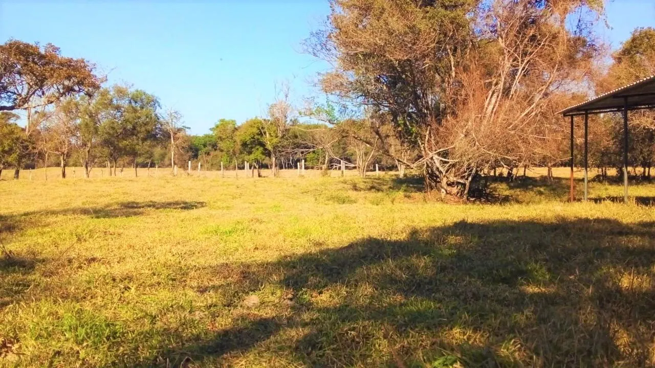 Terreno à venda de 3 ha em Espírito Santo do Dourado, MG, Brasil