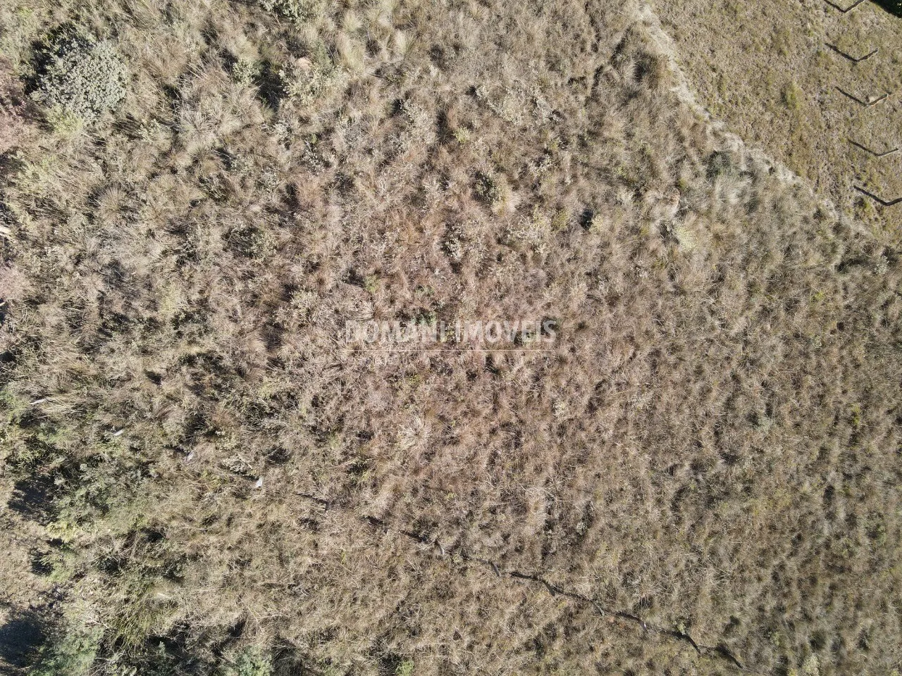 Terreno à venda de 1.200 m² em Campos do Jordão, SP, Brasil