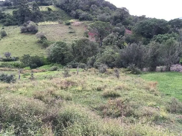 Sítio à venda de 5 ha em Santo Antônio da Patrulha, RS, Brasil