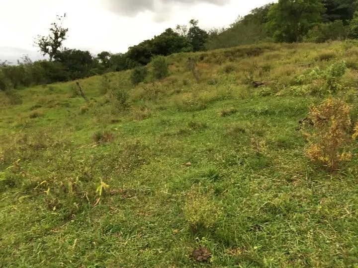 Sítio à venda de 5 ha em Santo Antônio da Patrulha, RS, Brasil