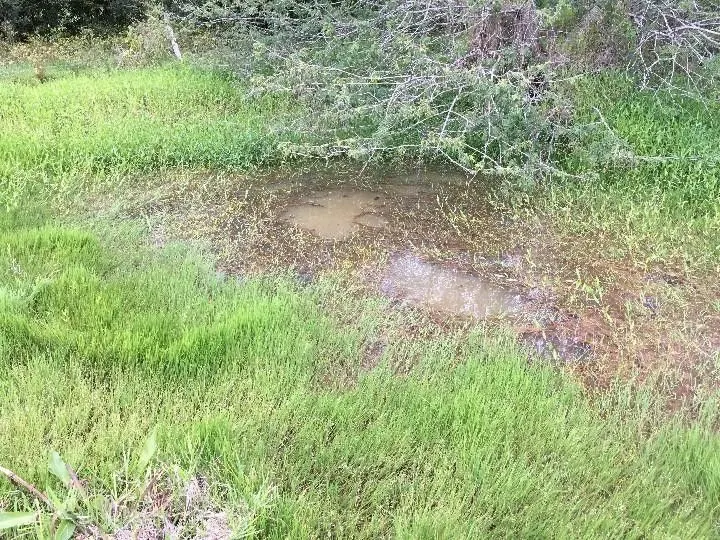 Sítio à venda de 5 ha em Santo Antônio da Patrulha, RS, Brasil