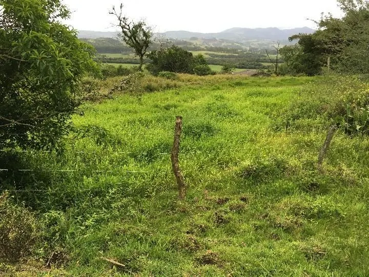 Sítio à venda de 5 ha em Santo Antônio da Patrulha, RS, Brasil