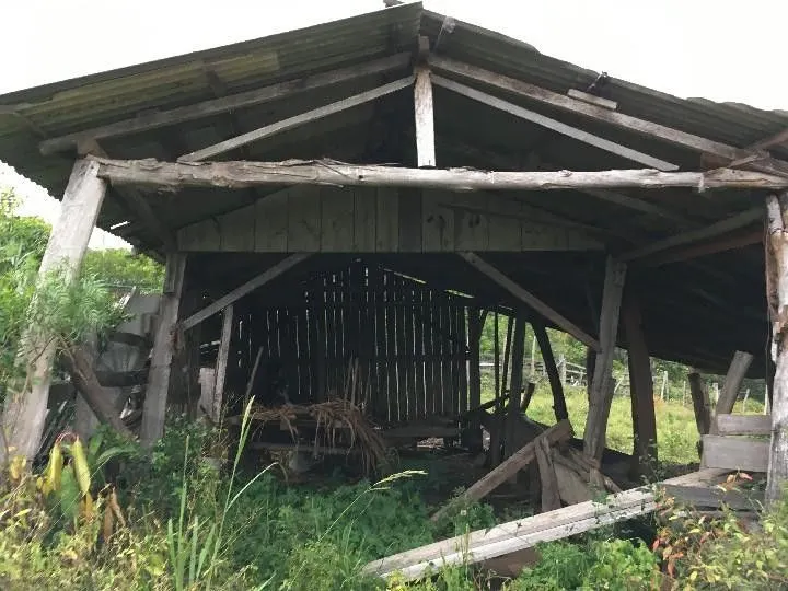 Sítio à venda de 5 ha em Santo Antônio da Patrulha, RS, Brasil