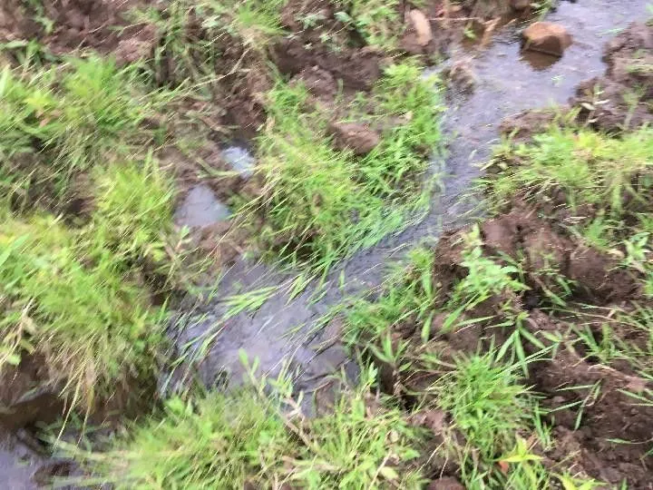 Sítio à venda de 5 ha em Santo Antônio da Patrulha, RS, Brasil