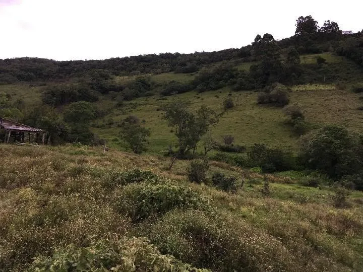Sítio à venda de 5 ha em Santo Antônio da Patrulha, RS, Brasil