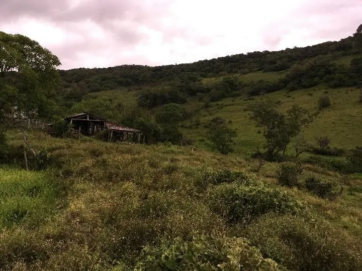 Sítio à venda de 5 ha em Santo Antônio da Patrulha, RS, Brasil