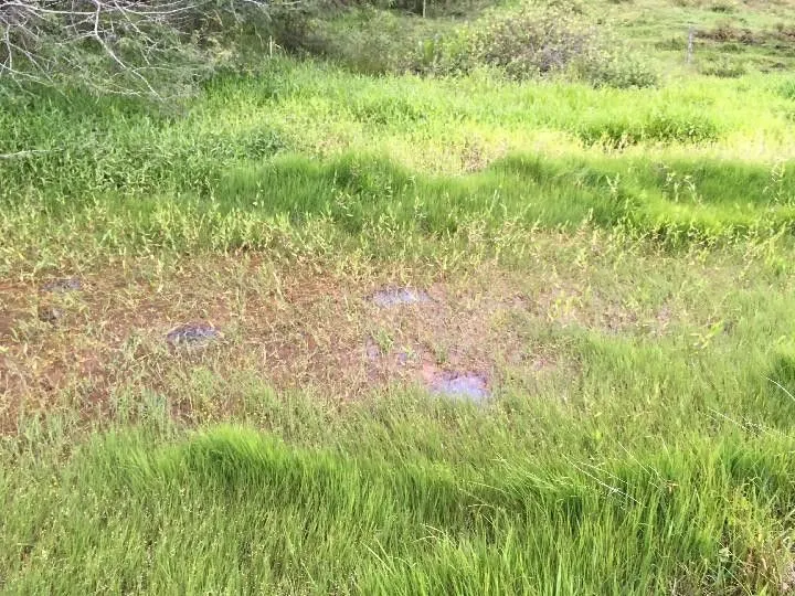 Sítio à venda de 5 ha em Santo Antônio da Patrulha, RS, Brasil