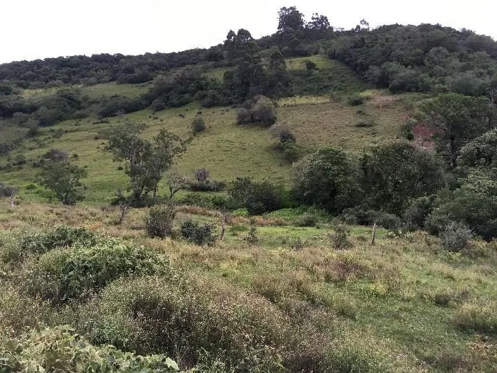 Sítio à venda de 5 ha em Santo Antônio da Patrulha, RS, Brasil