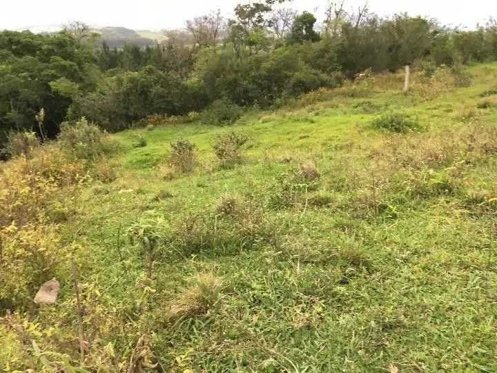 Sítio à venda de 5 ha em Santo Antônio da Patrulha, RS, Brasil