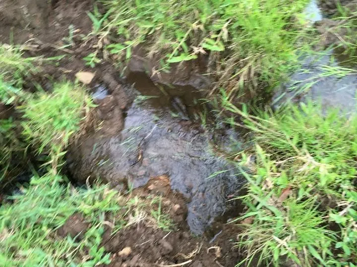 Sítio à venda de 5 ha em Santo Antônio da Patrulha, RS, Brasil