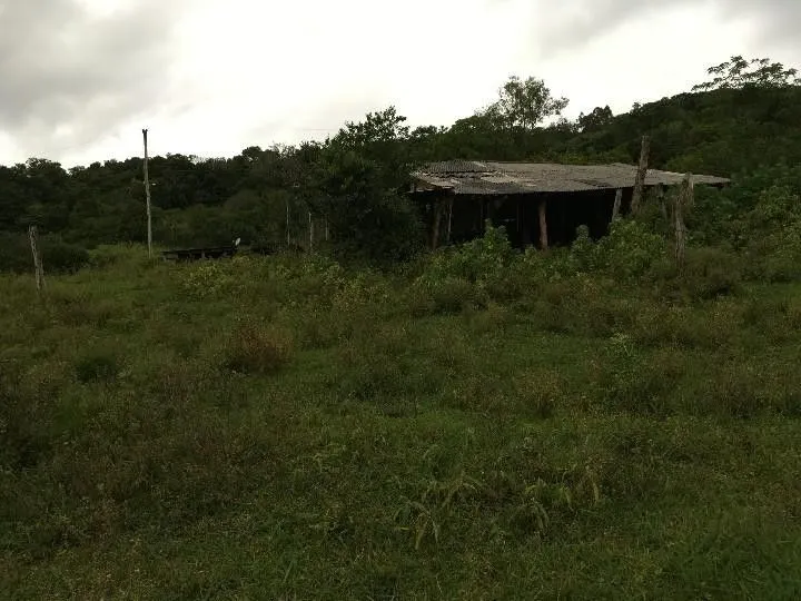 Sítio à venda de 5 ha em Santo Antônio da Patrulha, RS, Brasil