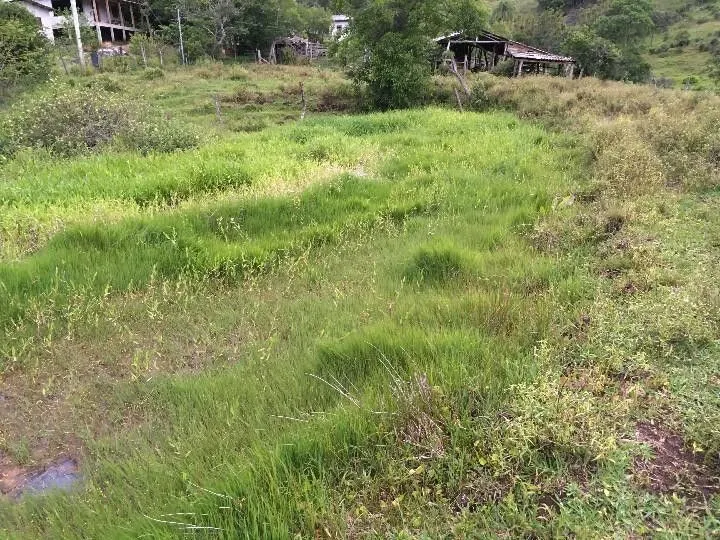 Sítio à venda de 5 ha em Santo Antônio da Patrulha, RS, Brasil