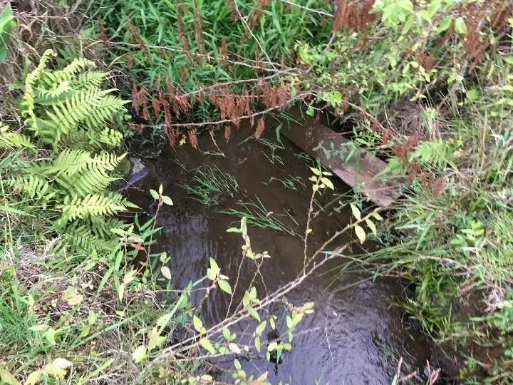 Sítio à venda de 5 ha em Santo Antônio da Patrulha, RS, Brasil