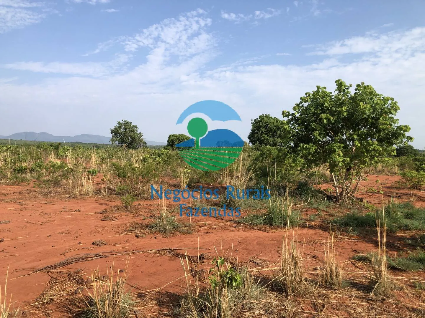 Farm for sale of 717 acres in Palmeirópolis, TO, Brazil