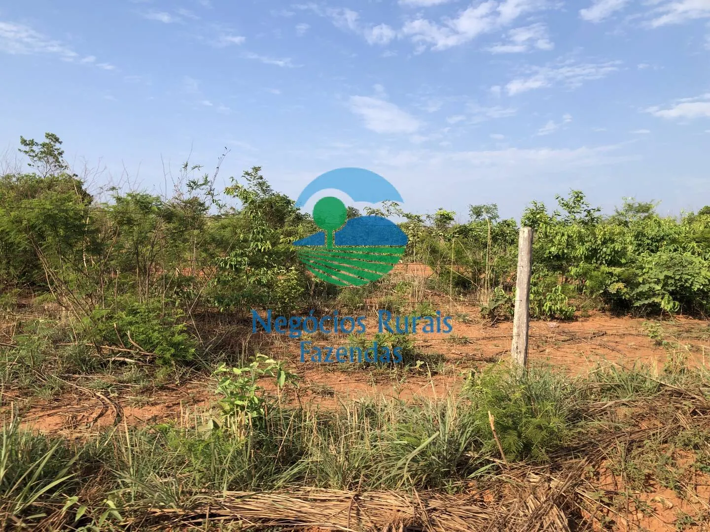 Farm for sale of 717 acres in Palmeirópolis, TO, Brazil