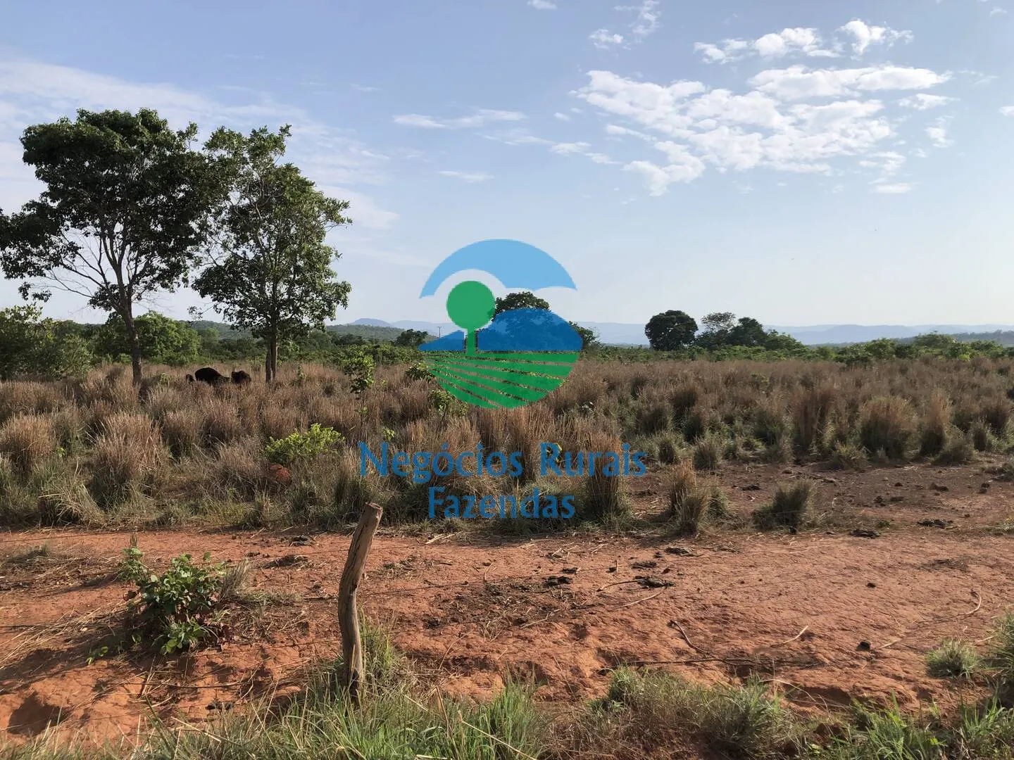 Farm for sale of 717 acres in Palmeirópolis, TO, Brazil