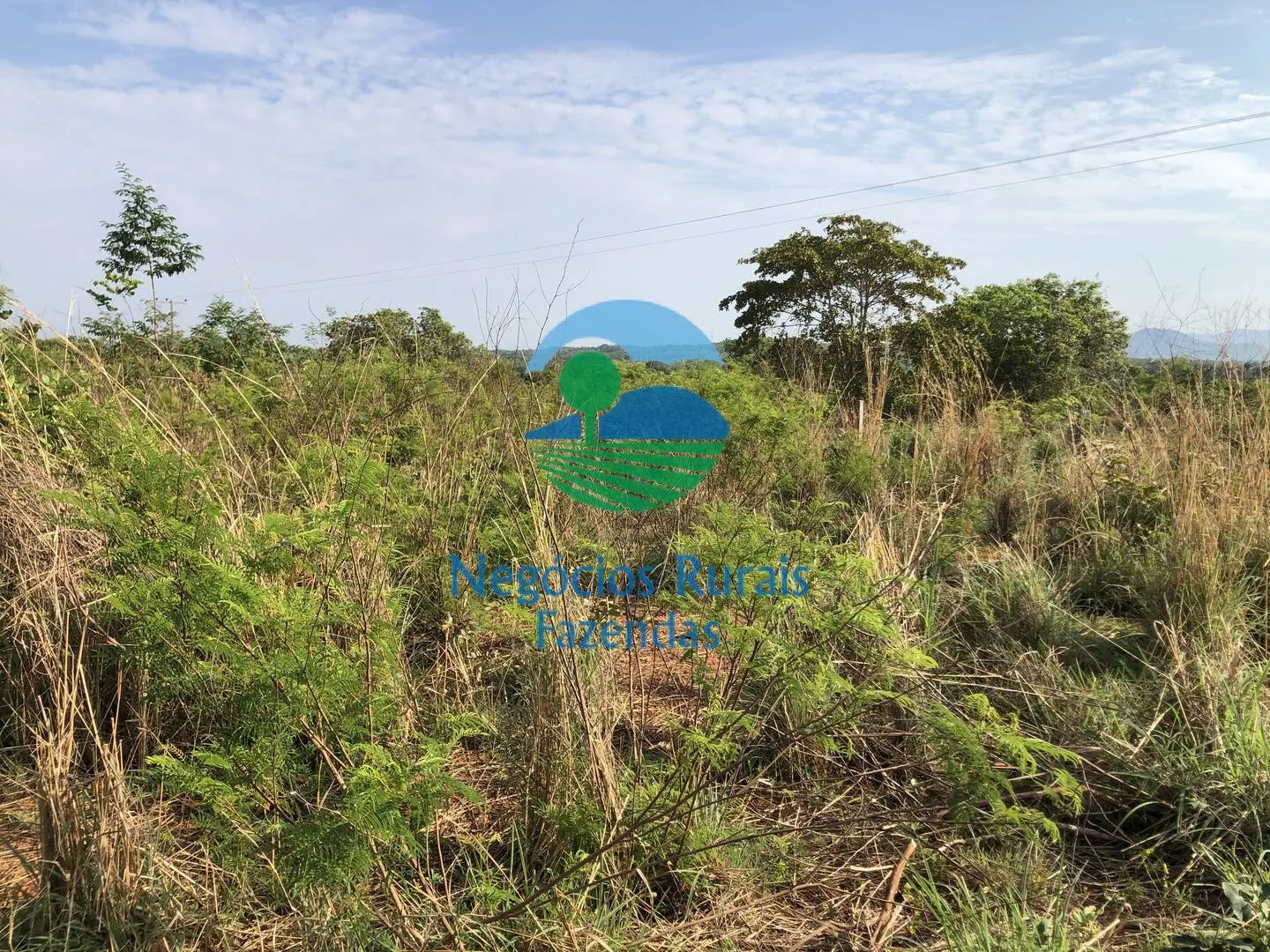 Farm for sale of 717 acres in Palmeirópolis, TO, Brazil