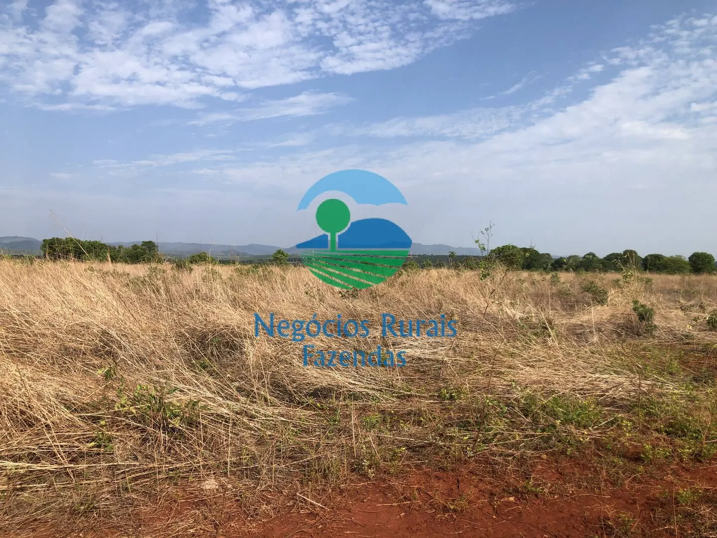 Farm for sale of 717 acres in Palmeirópolis, TO, Brazil