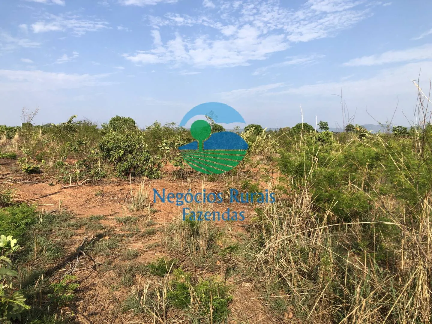 Farm for sale of 717 acres in Palmeirópolis, TO, Brazil
