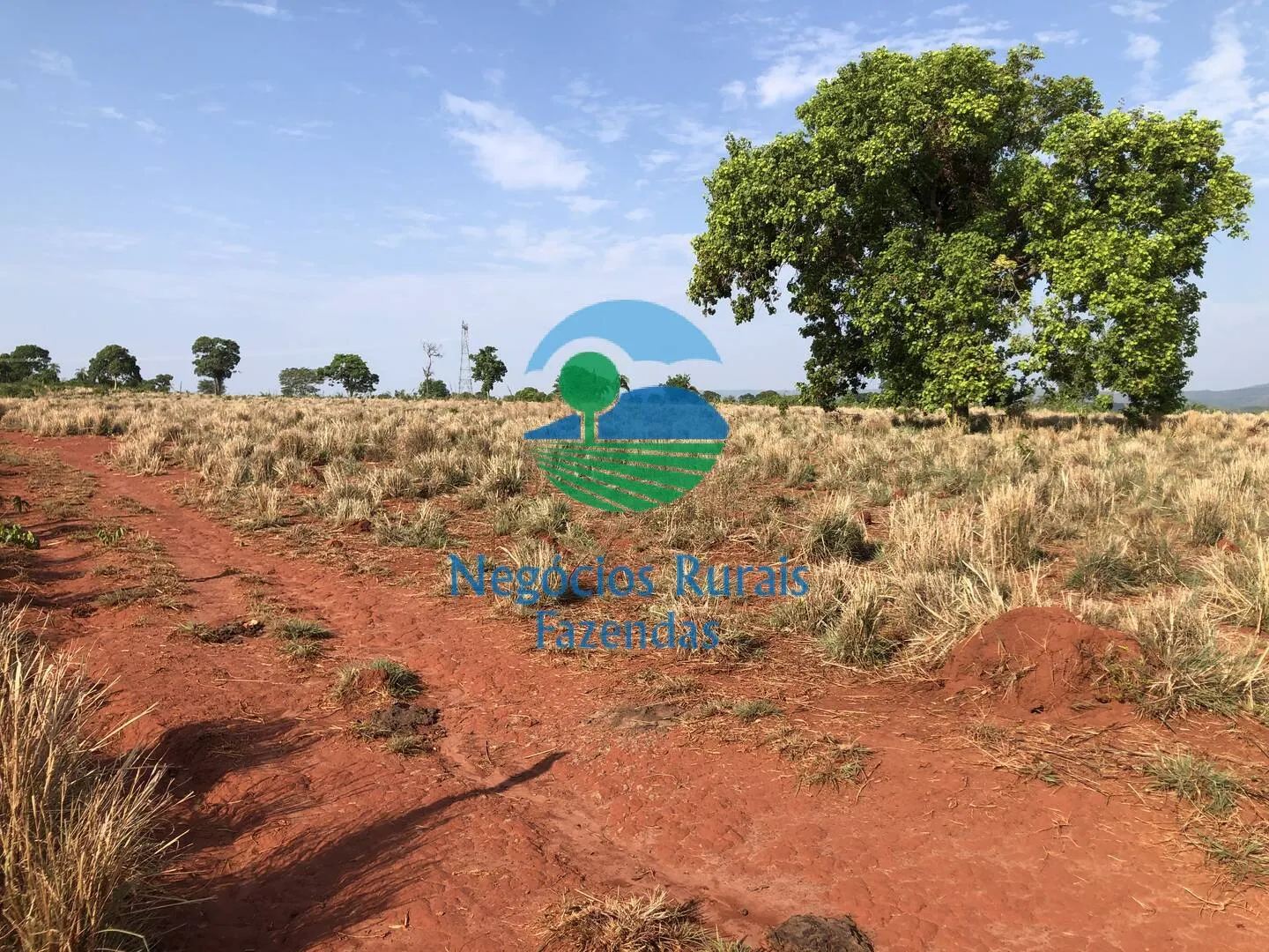 Farm for sale of 717 acres in Palmeirópolis, TO, Brazil