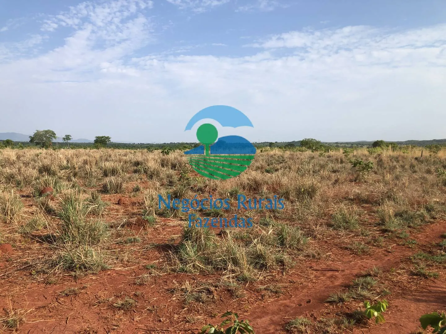 Fazenda à venda de 290 ha em Palmeirópolis, TO, Brasil