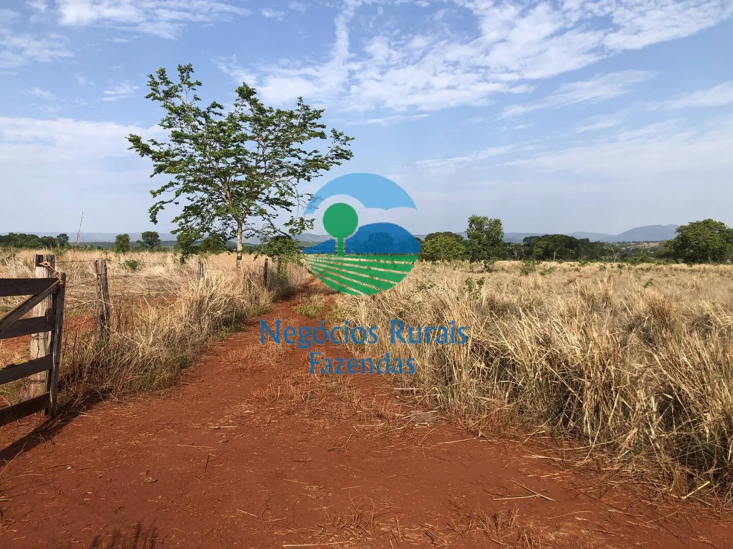 Farm for sale of 717 acres in Palmeirópolis, TO, Brazil