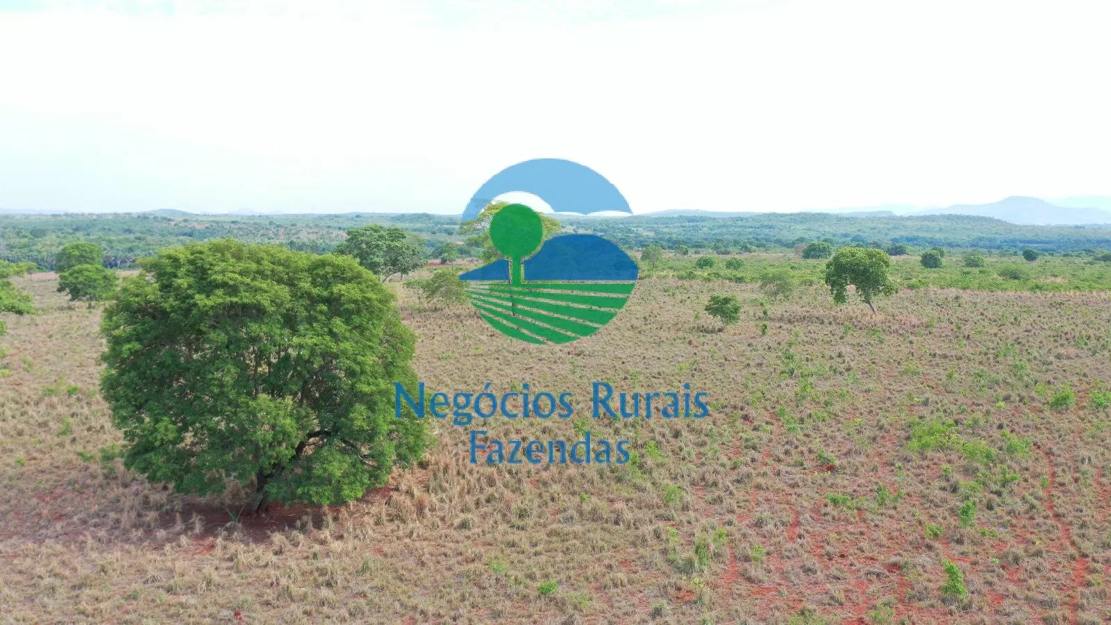 Farm for sale of 717 acres in Palmeirópolis, TO, Brazil