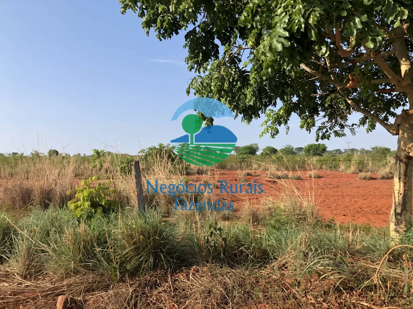 Farm for sale of 717 acres in Palmeirópolis, TO, Brazil