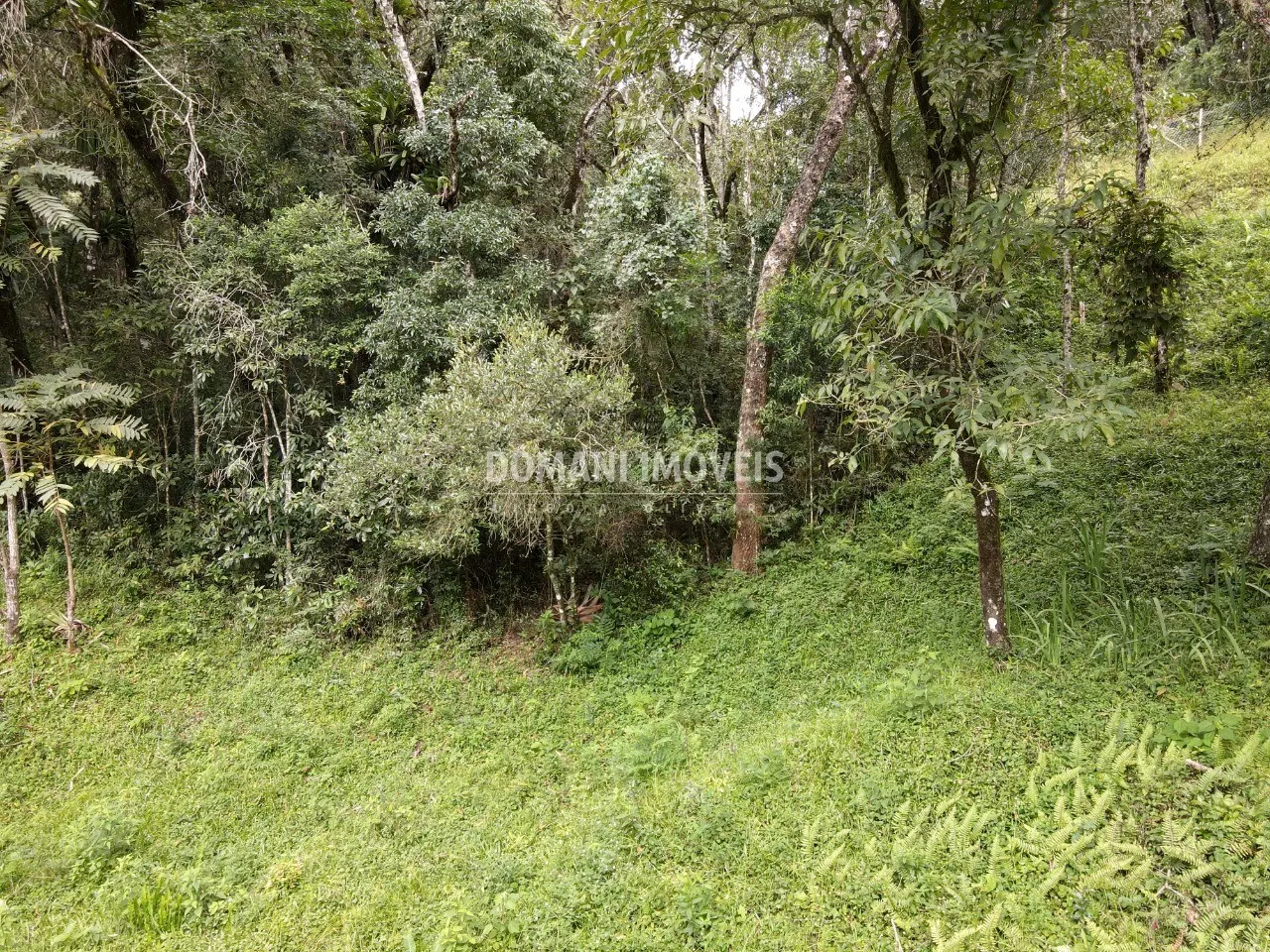 Terreno à venda de 1.270 m² em Campos do Jordão, SP, Brasil