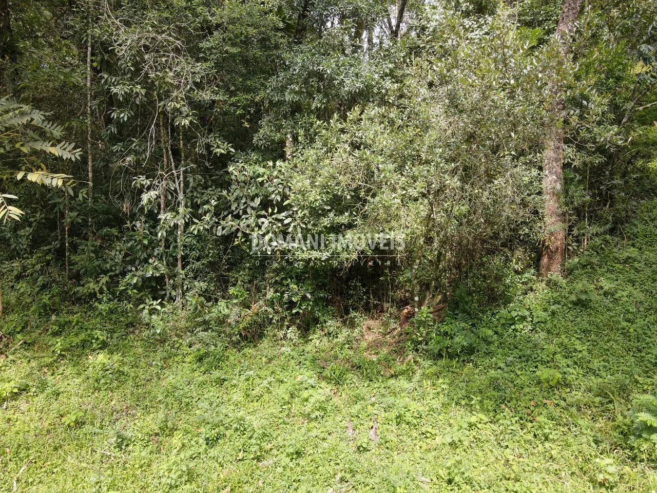Terreno à venda de 1.270 m² em Campos do Jordão, SP, Brasil