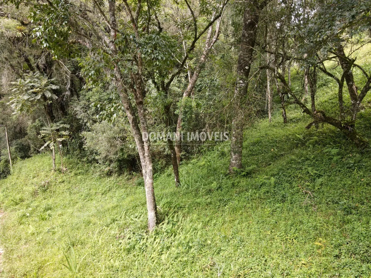 Terreno à venda de 1.270 m² em Campos do Jordão, SP, Brasil