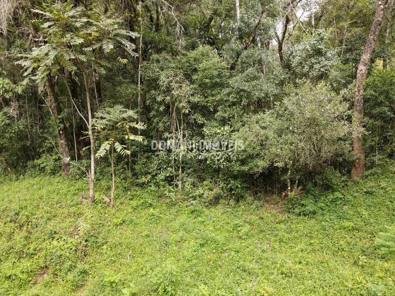 Terreno à venda de 1.270 m² em Campos do Jordão, SP, Brasil