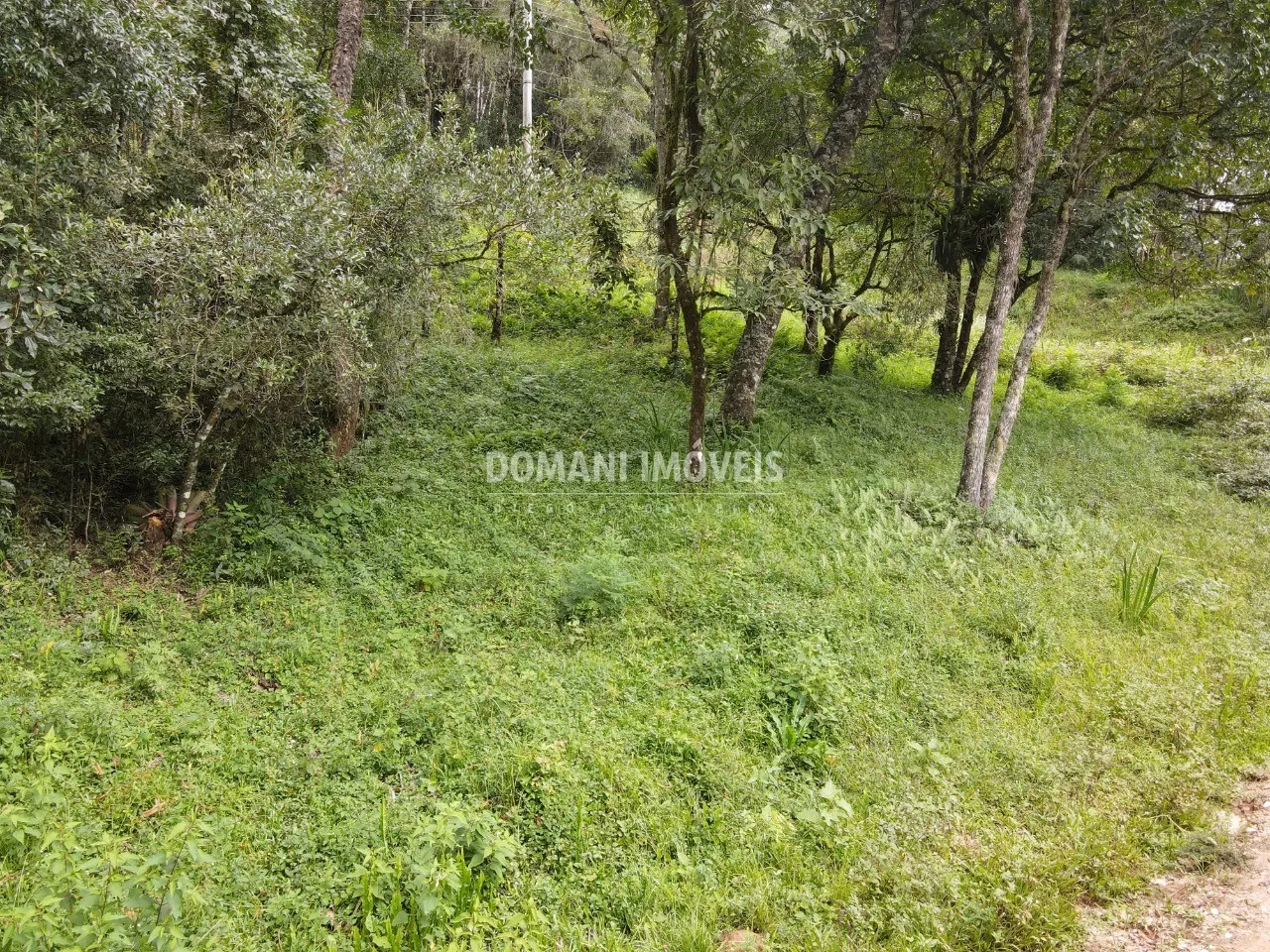 Terreno à venda de 1.270 m² em Campos do Jordão, SP, Brasil